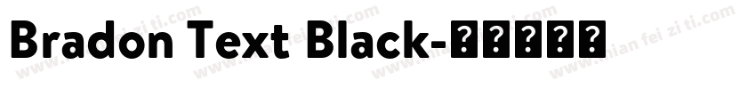 Bradon Text Black字体转换